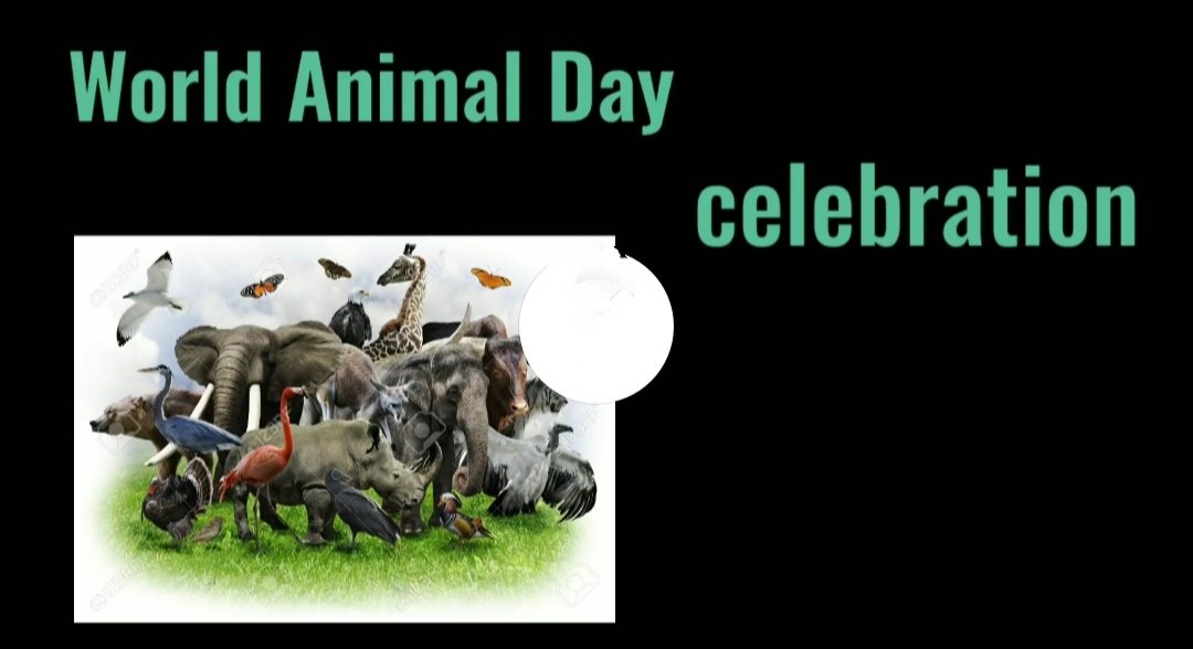 World Animal Welfare Day Celebration